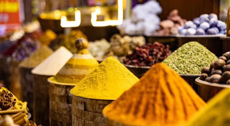 Dubai 8 Jours Novembre