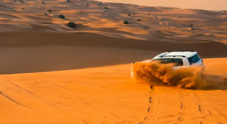 Dubai 8 Jours Novembre